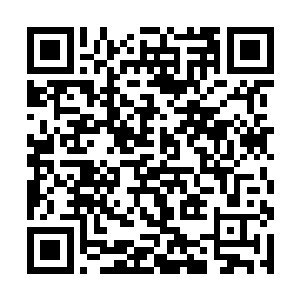 让苏叶和墨言奏很快的就将十几年没见的隔膜消散了二维码生成