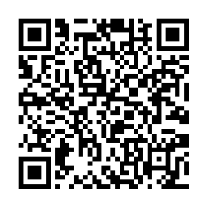 让苏林甚至可以清楚的看到那些蜘蛛身上的细密纹理二维码生成