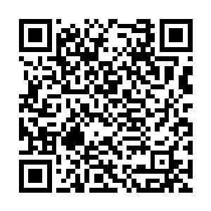 让萧言所在的帐幕火堆这片乱纷纷的跟鸭子塘也似二维码生成