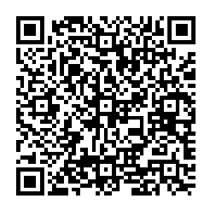 让蔡凝在燕京受了不少委屈不过我还没活到需要靠一个女人来帮我遮风挡雨的地步这个婚约二维码生成