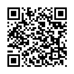 让血脉从王阶层次进化到了低级不朽二维码生成