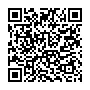 让许如真一时间也无法确定他们到底是在如何战斗的二维码生成