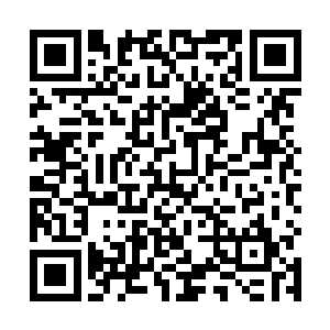 让许紫烟坚信她真正布设大阵的时间会缩短到不到一天二维码生成