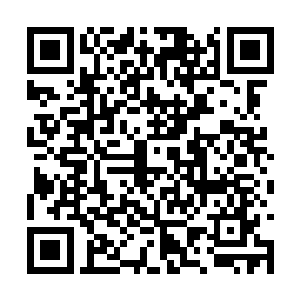 让许紫烟感觉到自己应该尽快将修为提升到仙君期二维码生成