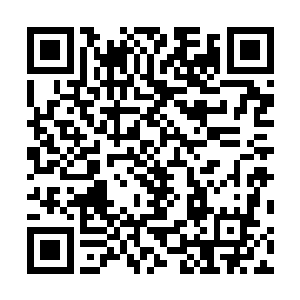 让该处天幕所在的异域地脉渐渐转化为本域各脉相应属性二维码生成