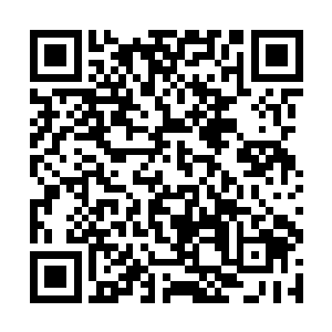 让贝海傻眼的不是疤脸而是疤脸现在嘴里衔着的东西二维码生成
