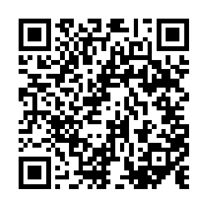 让费南的负面能量达到了顶峰――作为主物质世界二维码生成