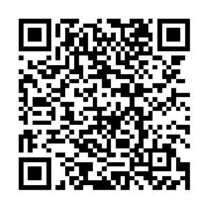 让赵虎对于大丰城的丧尸分布情况有了一个详细的了解二维码生成