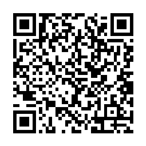 让赵虎对于武堂附近的武者组织有一个清晰的了解二维码生成