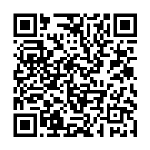 让赵辉带着穿山遁地龙去灭掉那些不肯归附的大域主二维码生成