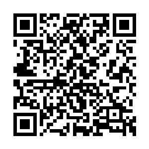 让路广天这样的人物向一个炼气期的小女娃臣服二维码生成