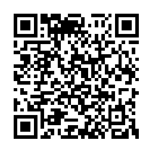 让躲在一旁的秦方都是忍不住感觉到些许颤栗的二维码生成