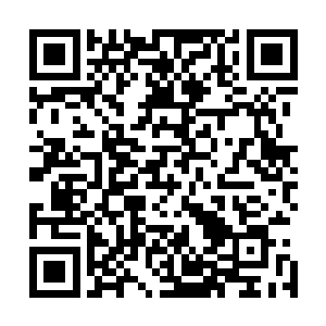 让还没有进入修真界的魔物们散播我和魔王离开这里的消息二维码生成