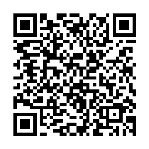让这些在外面的锦衣卫侍卫还以为是出了什么事情呢二维码生成