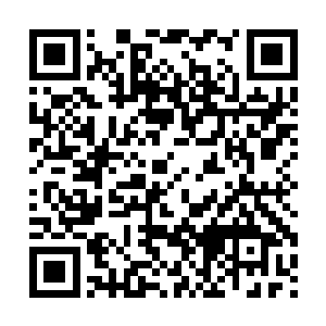 让这些混沌兽和域外天魔发现了许紫烟就是一个外强中干的货二维码生成