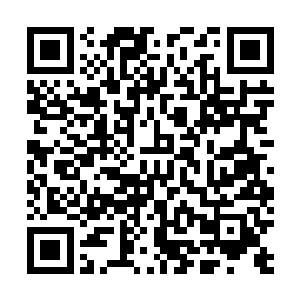 让这场慈善比赛变得和普通意义上的慈善比赛不太一样了二维码生成