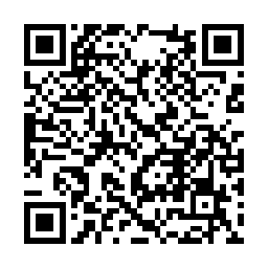 让这样的人去制作g或者pg级的影片绝对是一场灾难二维码生成