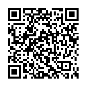 让这股原本有可能返回苗疆的恐怖力量留在燕京二维码生成