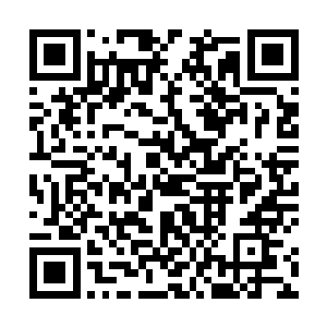 让这血晶心脏也开始被那点点血光一点一点的填充变亮二维码生成