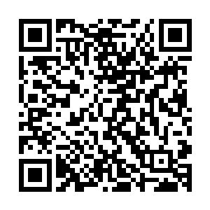 让那两个假扮米紫安的粉丝却企图偷袭的男人的这一合围落空二维码生成