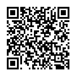 让那些从鸦片战争以来就侵略我华夏大地的洋鬼子们付出代价二维码生成