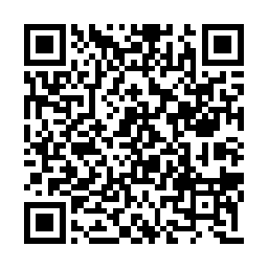 让那些原本喧嚣不断的巫族后裔齐齐打了个冷颤二维码生成