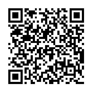 让那些她刻意埋在心底最深处的痛苦如被风吹起的片片落叶二维码生成