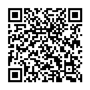 让那些所谓的心理学家知道媚后的心态那肯定会说一句二维码生成