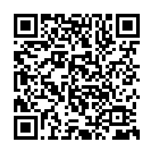 让那些打算利用一些小动作来阻止自己的人看看二维码生成