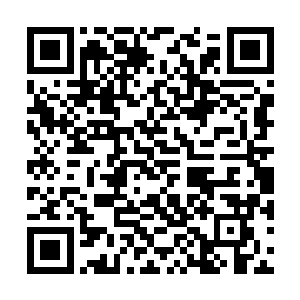 让那些捕风捉影的花边记者们有机会编排她的绯闻二维码生成