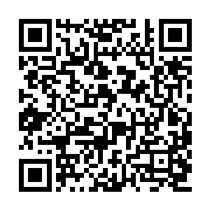 让那些疯狗一样的家伙把你拖回去进行火葬――二维码生成