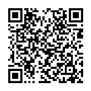 让那些许多排队还没吃到糯米团子的客人不免失望二维码生成