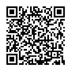 让那件深褐色的毛衣看起来像是挂在衣架上一般二维码生成