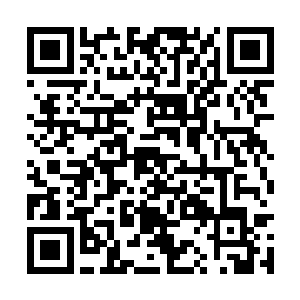 让那奥杜尔和中年男子的表情变得更加难看了起来二维码生成