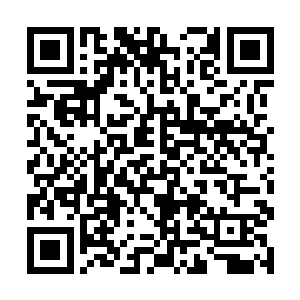 让那已经被方凌的黑色葫芦快扯到葫芦内的鬼帝虚影二维码生成