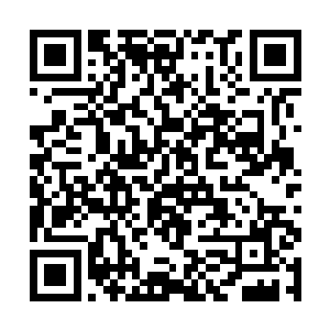 让那本就被金砖轰击得一个踉跄的夸父几乎摔倒在地二维码生成