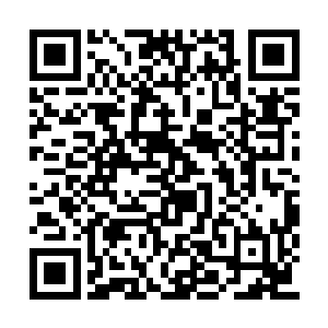 让银河星域的修士能够享受和宇宙士同等的权利二维码生成