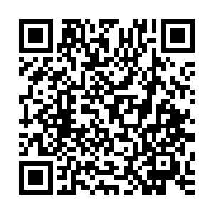 让闻言惊异看向他的小白脸发现他是真好奇而不是嘲笑讥讽后二维码生成