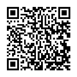 让阵一去研究出正常开启大门的方法她不想要破坏这里的禁制二维码生成