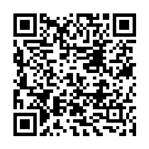 让除了自己之外的其他生命根本找不到正确的通道二维码生成