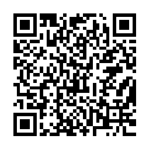 让隐藏于炼丹炉内壁的如封似闭灵阵渐渐地从内壁中渗透了出来二维码生成
