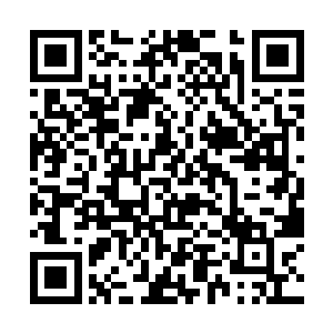 让雨果对整个拍摄流程和现场情况有了一个初步认识二维码生成