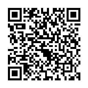 让青龙能够自如闪避那棕木巨人攻击的熊孩子也顿时冷笑了起来二维码生成