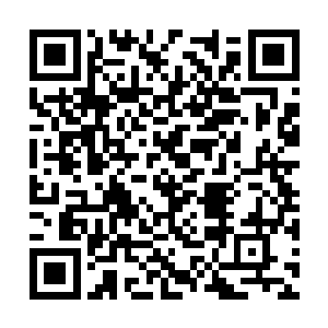 让风清扬与九凰在同一时刻进入了一种奇妙的状态二维码生成