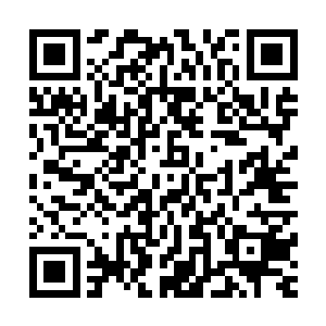 让马文不由恍然想起几个月前一行人一起穿越蜘蛛地穴的时光二维码生成