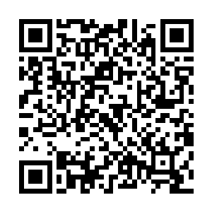 让驻扎在东南战区的第一第二常备军团赶往天宇城和天虹城二维码生成