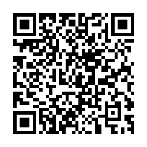 让高扬和格罗廖夫他们这些并不是特别擅长格斗的人去送死吗二维码生成