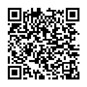 让魏德林将军带领五万人和足够的卡车到西奈农场二维码生成