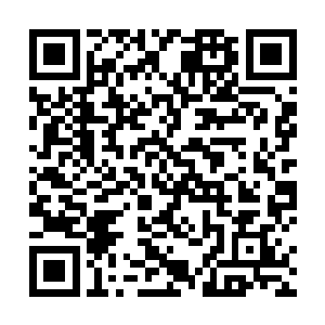 让麾下一员将领带着一小队人马看着这些毛利家的家臣二维码生成