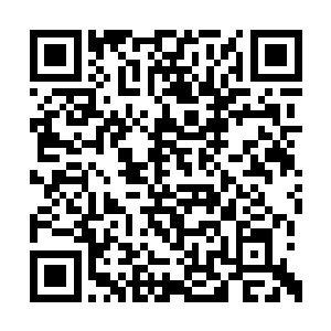 让黄纸包着的陈豪的毛发的气场变得和陈豪一样二维码生成